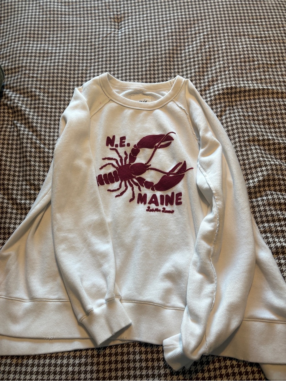 aerie White Crewneck Sweater with Burgundy Lobster Graphic